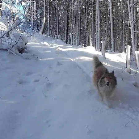 Grossberghof Lantgård Taxenbach